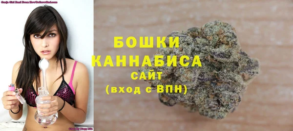 прущий лед Богородск