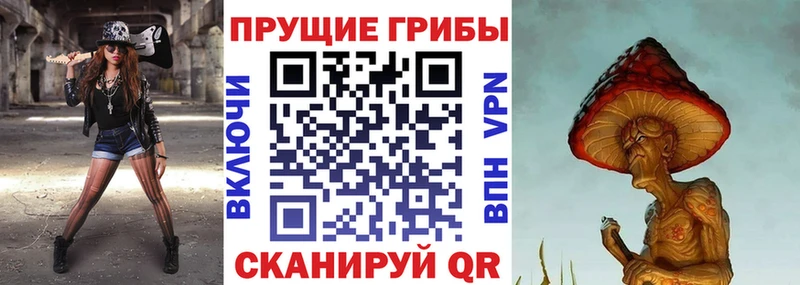 Галлюциногенные грибы Psilocybine cubensis  наркота  Бузулук 