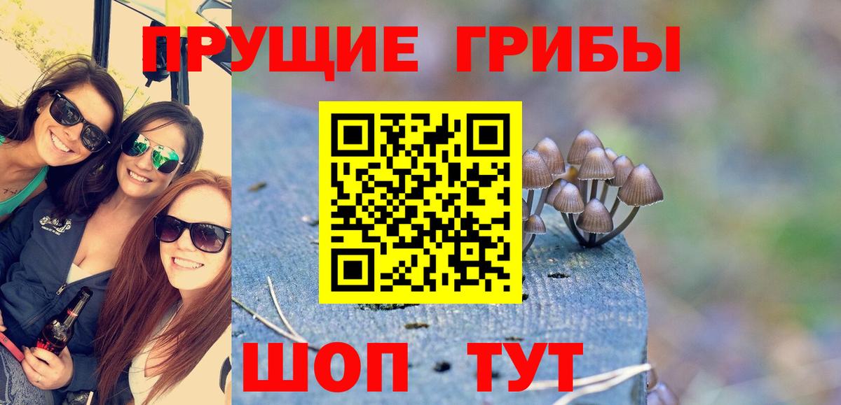 Бузулук  Галлюциногенные грибы прущие грибы  Вход с VPN 